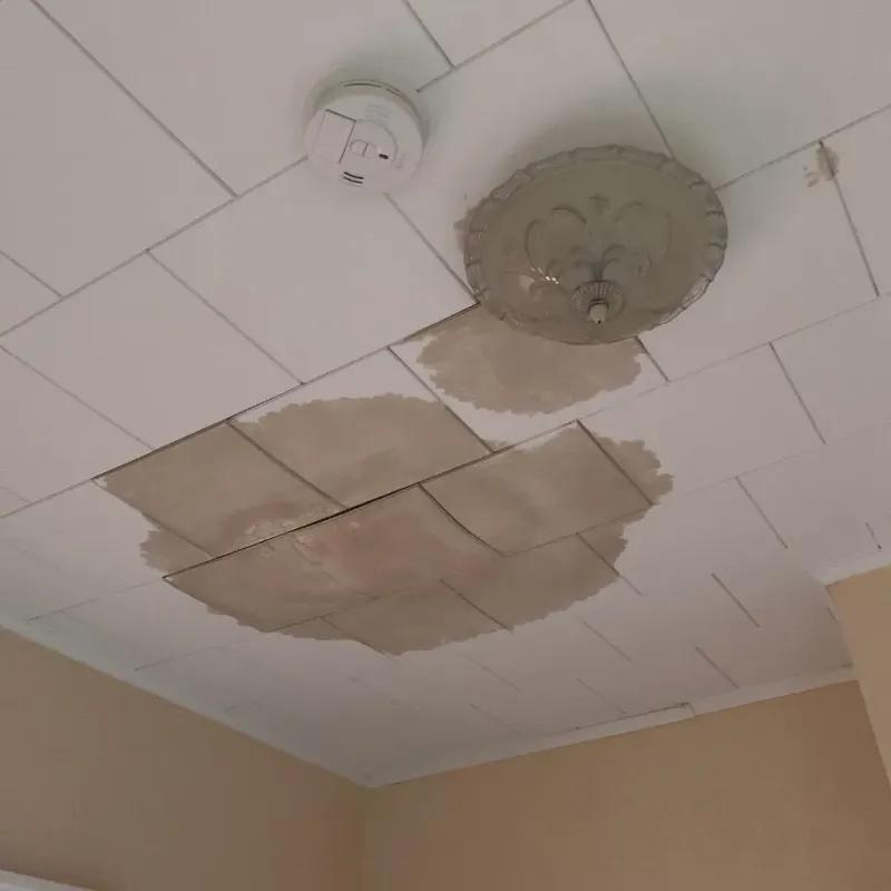 Ceiling Water Damage Repair in Haskins, OH