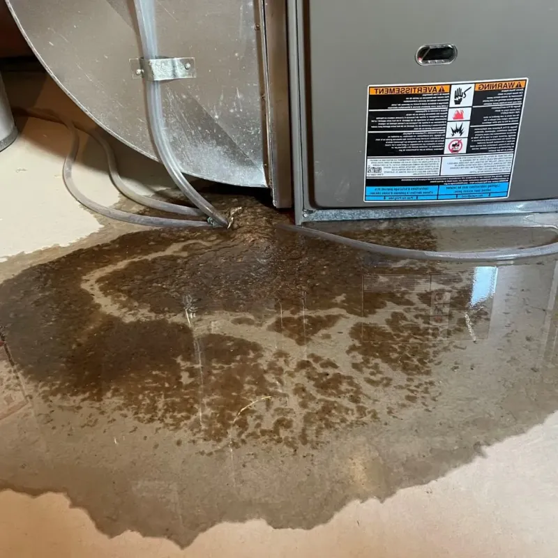 Pipe Burst and Leak Restoration in Haskins, OH