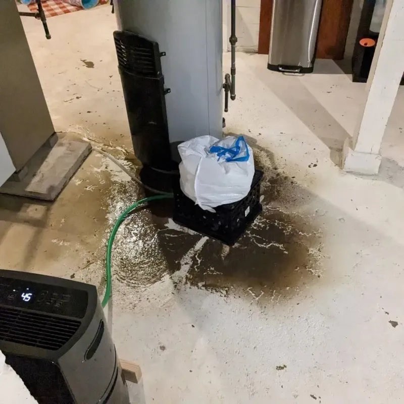Sewage Backup Cleanup Service in Haskins, OH